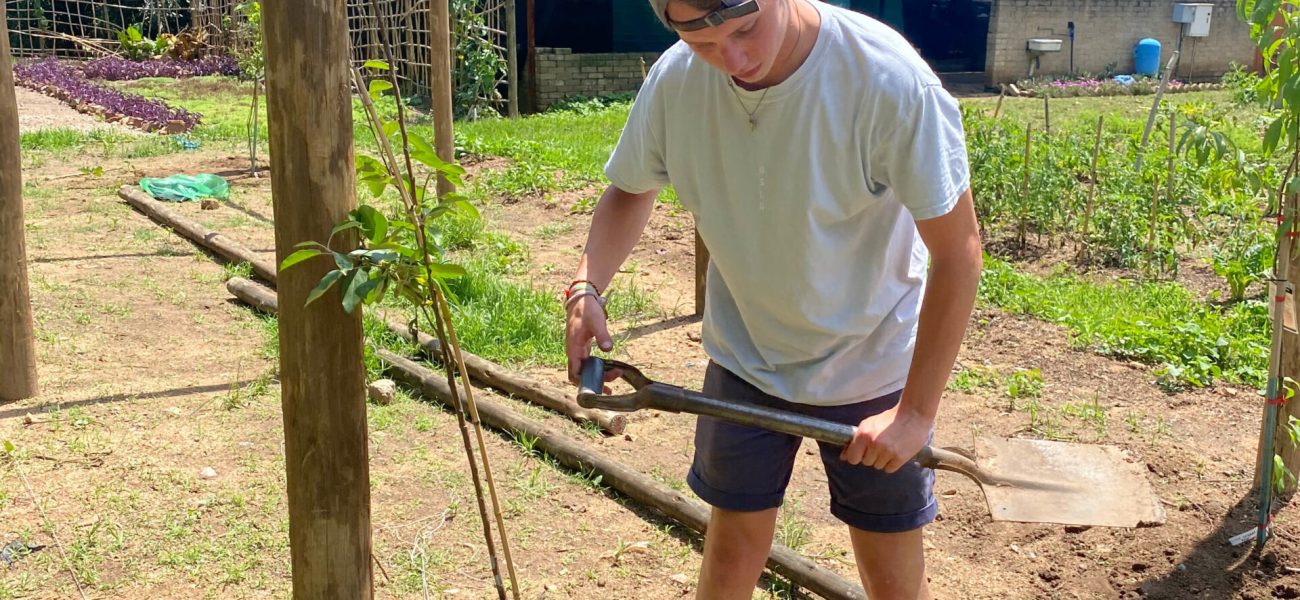 Planting Trees